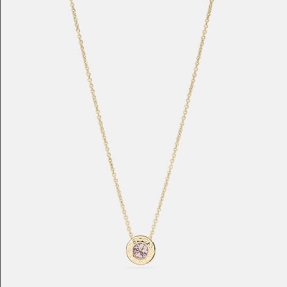 Coach Open Circle Stone Strand Necklace